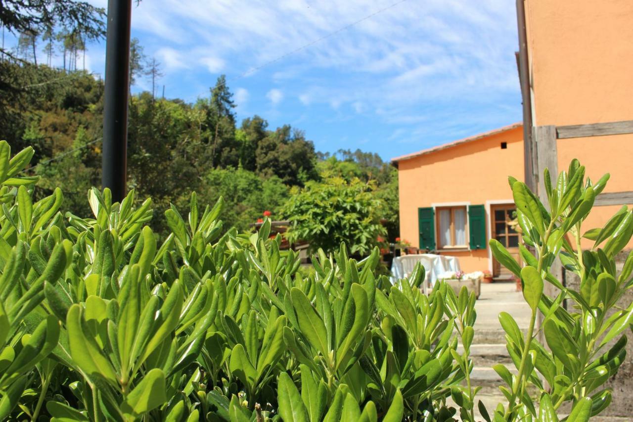 Affittacamere Angela Levanto Bagian luar foto